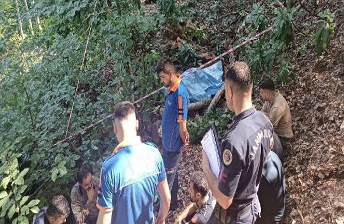 Kestiği ağacın altında kalarak yaşamını yitirdi