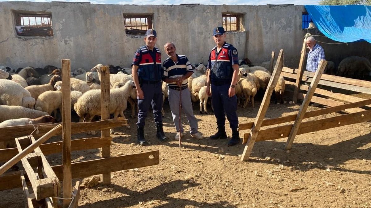 Kayıp koyunları jandarma buldu