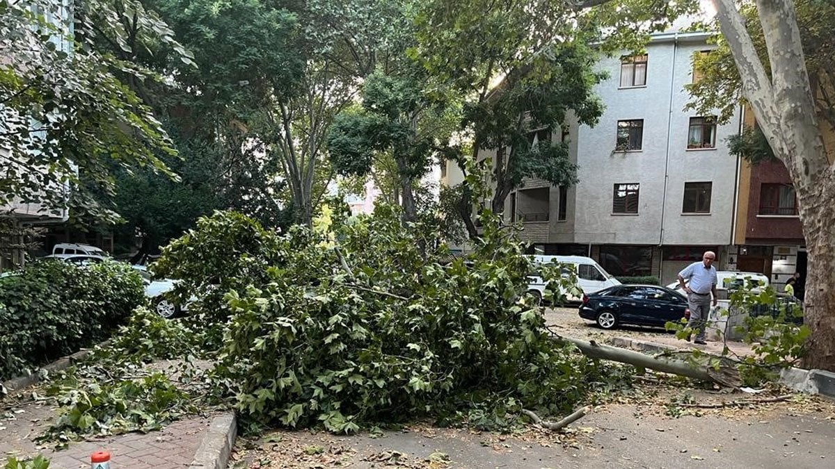 Ankara’da sıcaklardan sonra fırtına: Ağaçlar, araçların üzerine devrildi