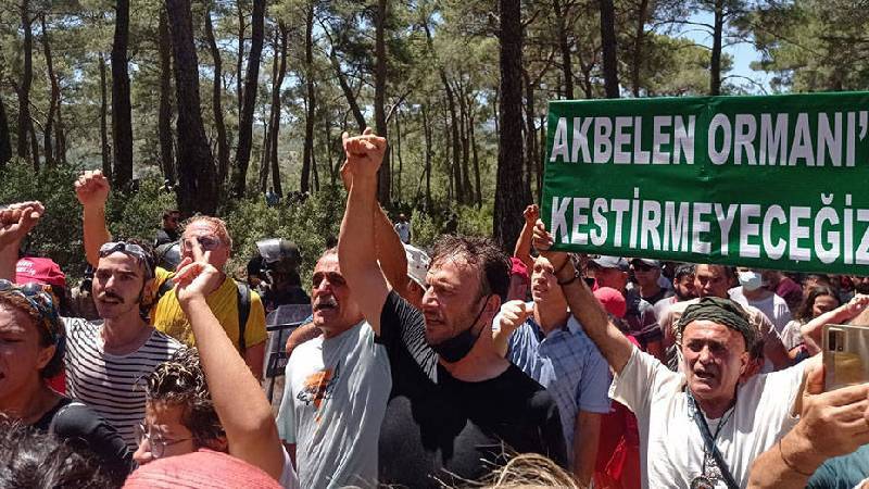 BM, Akbelen'deki katliama sessiz kalmadı: Limak'la yapılan anlaşma bozuldu