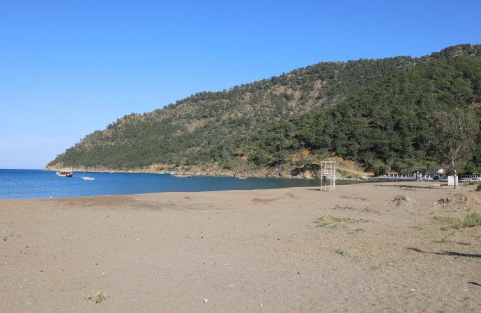 Caretta carettaların yuvalama alanlarında ‘koronavirüs’ sessizliği