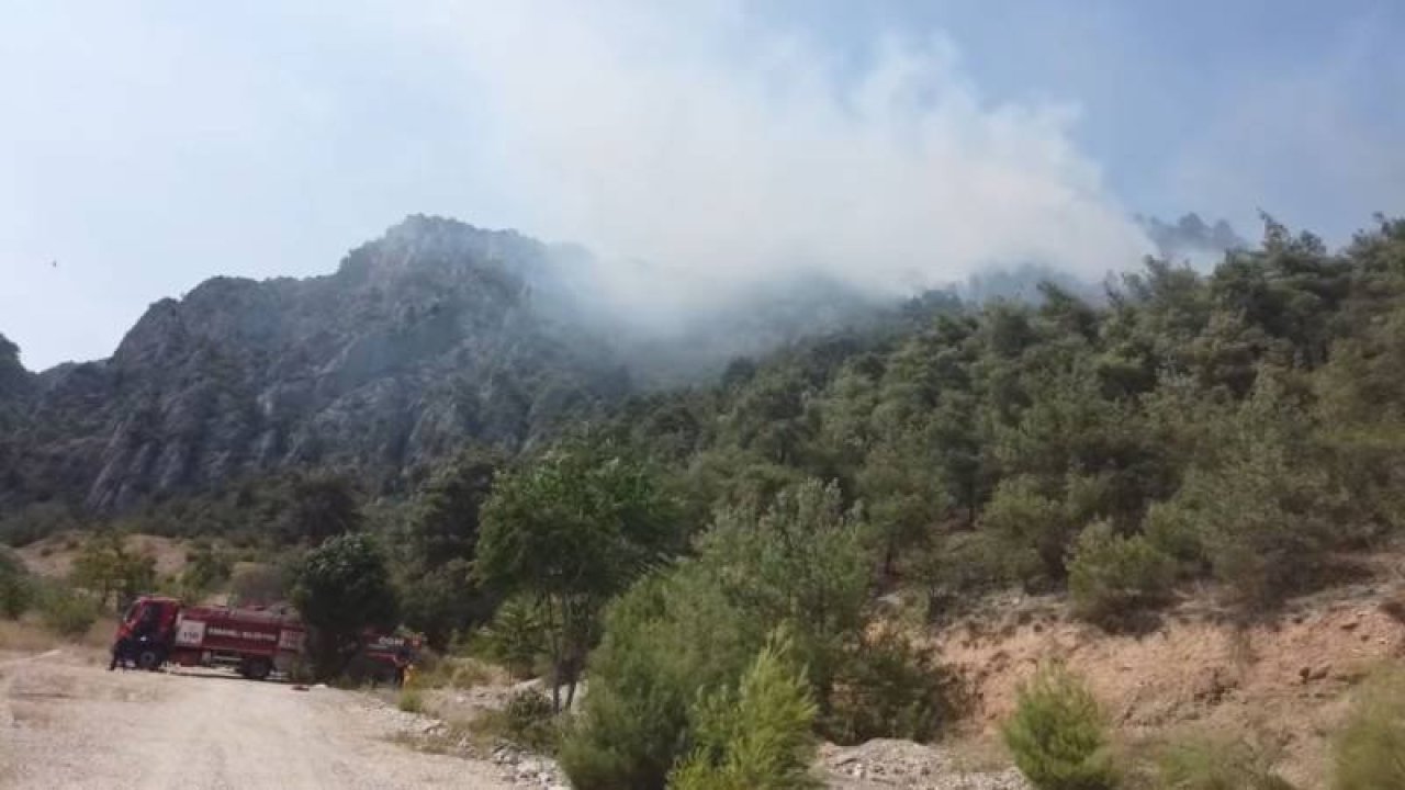 Bilecik'te orman yangını çıktı
