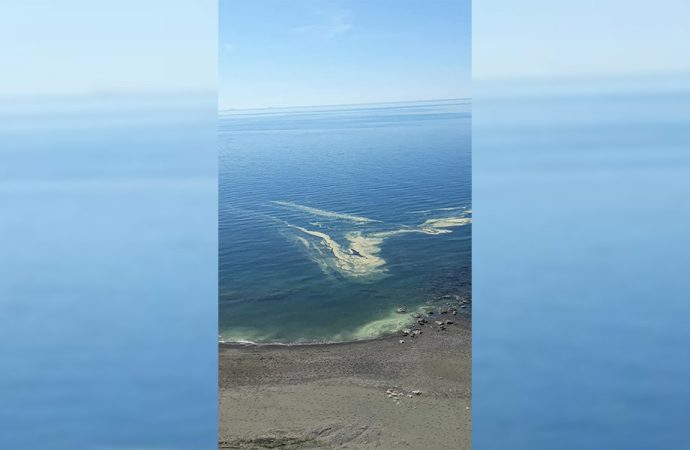 Mersin Büyükşehir Belediyesi’nden basın açıklaması