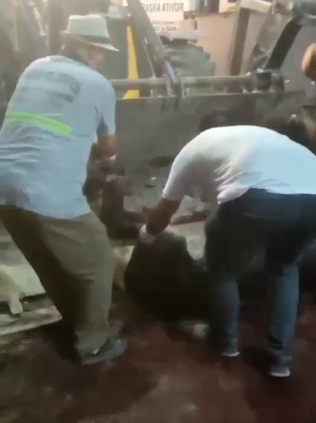 Kestikleri 12 eşeğin etini insanlara yedireceklerdi: Son anda yakalandılar