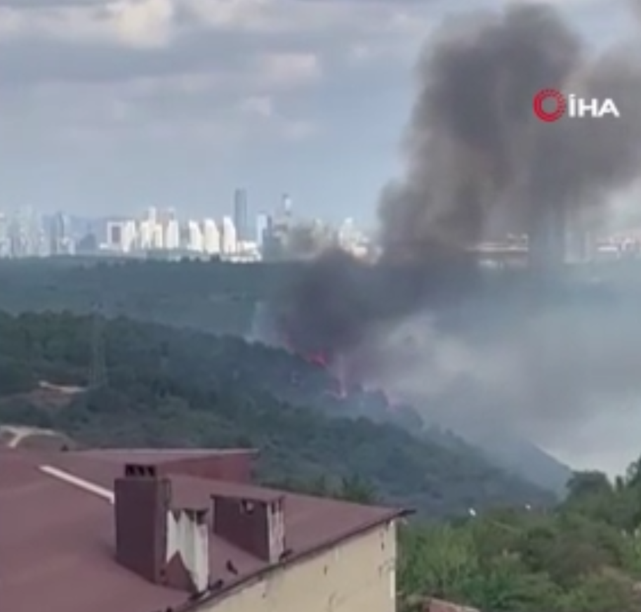 Sultangazi'de orman yangını