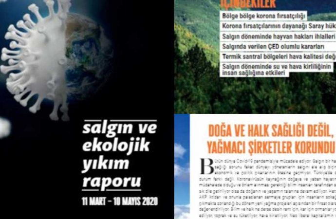 “Salgın ve ekolojik yıkım raporu” açıkladı