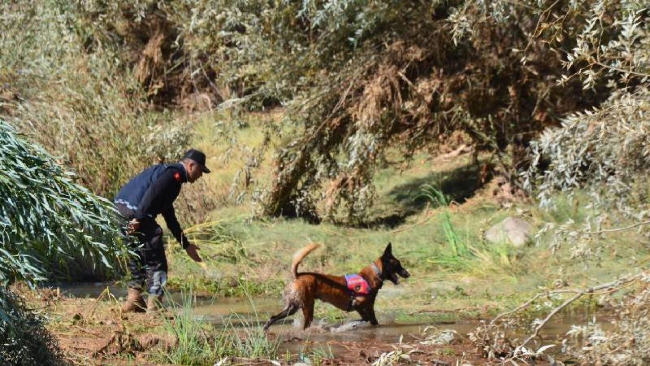 Selde kaybolan Asel bebek, 250 kişilik ekip ve 6 kadavra köpeğiyle aranıyor