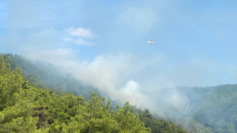 Kazdağları'nda orman yangını çıktı