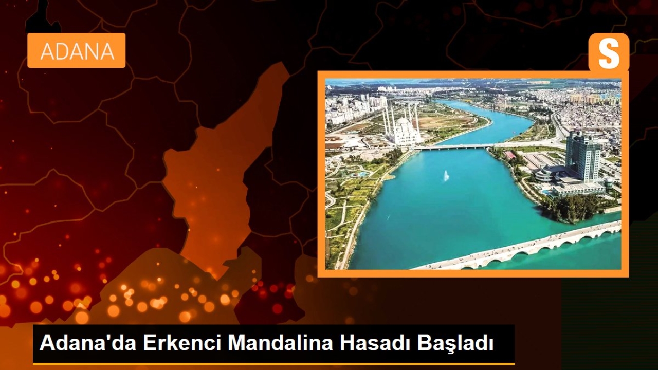 Adana'da Erkenci Mandalina Hasadı Başladı