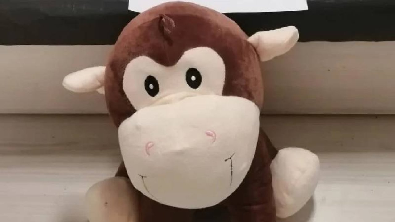 Oyuncak maymunun içine uyuşturucu gizlemişler