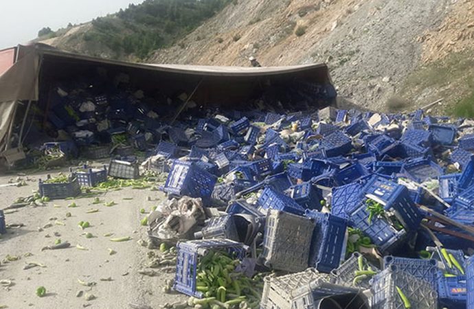 TIR devrildi tonlarca biber yola saçıldı