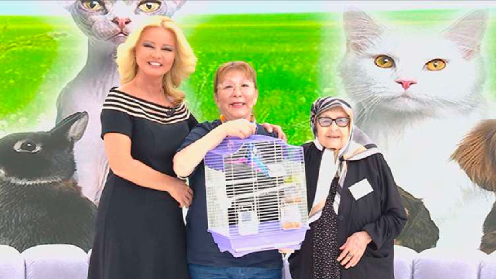 20 gün önce kaybolmuştu: Müge Anlı, muhabbet kuşu Maviş ve 90 yaşındaki Ayşe Kaygısız’ı kavuşturdu