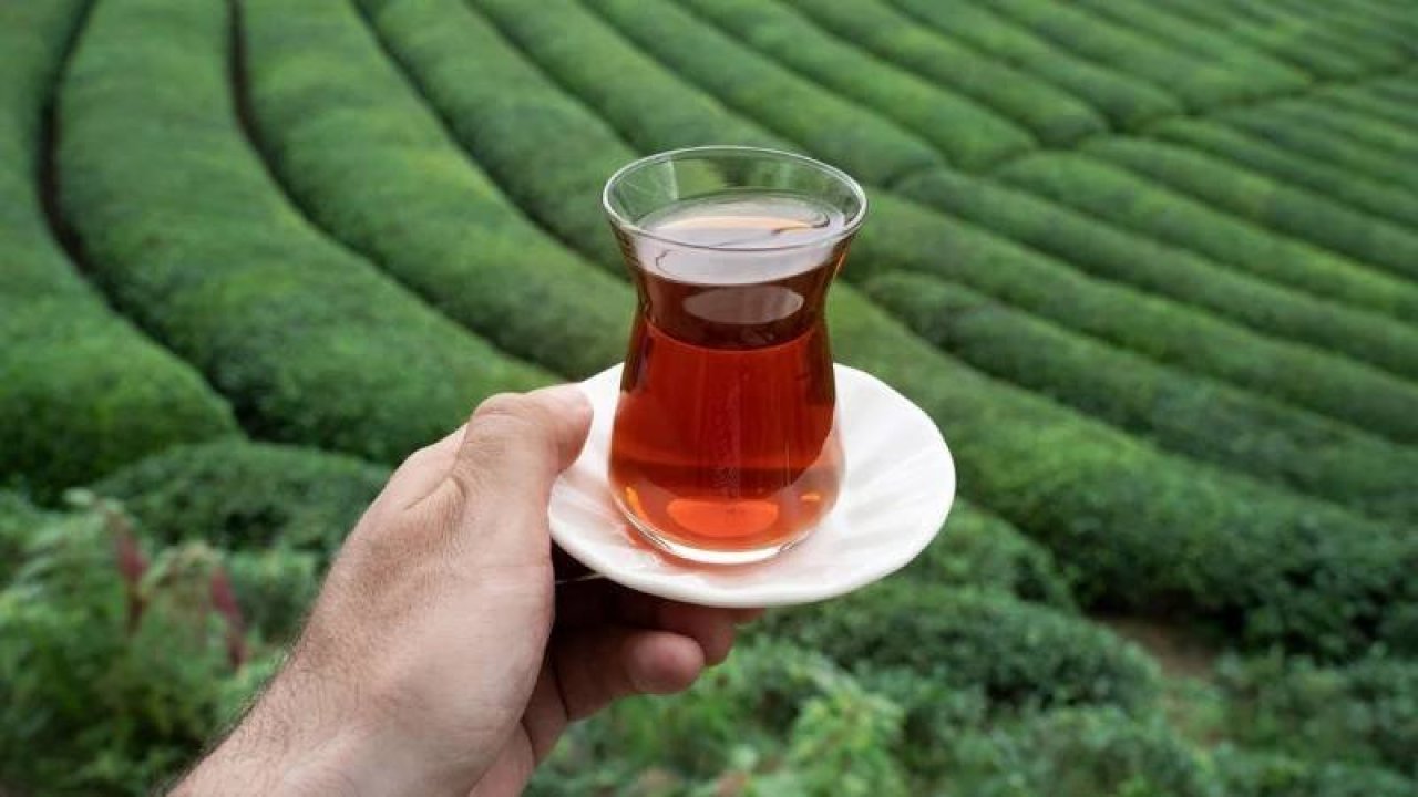 Çay ihracatı yüzde 22 arttı