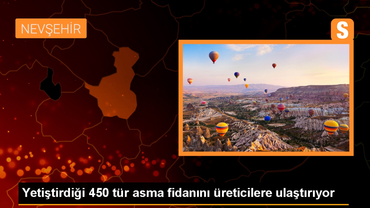 Nevşehir'de Üzüm Koleksiyon Bahçesi
