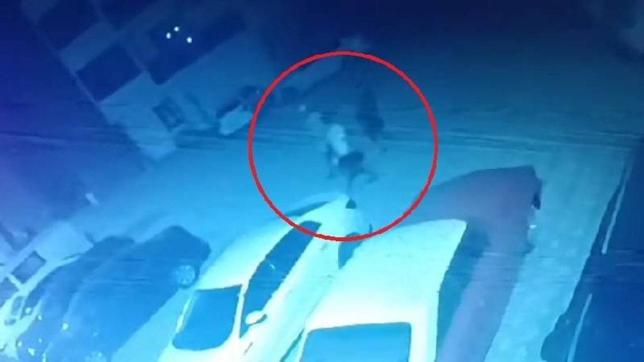Mersin’deki kayıp kız çocuğu Şanlıurfa’da bulundu: Yanındaki kişi polisi görünce kaçtı
