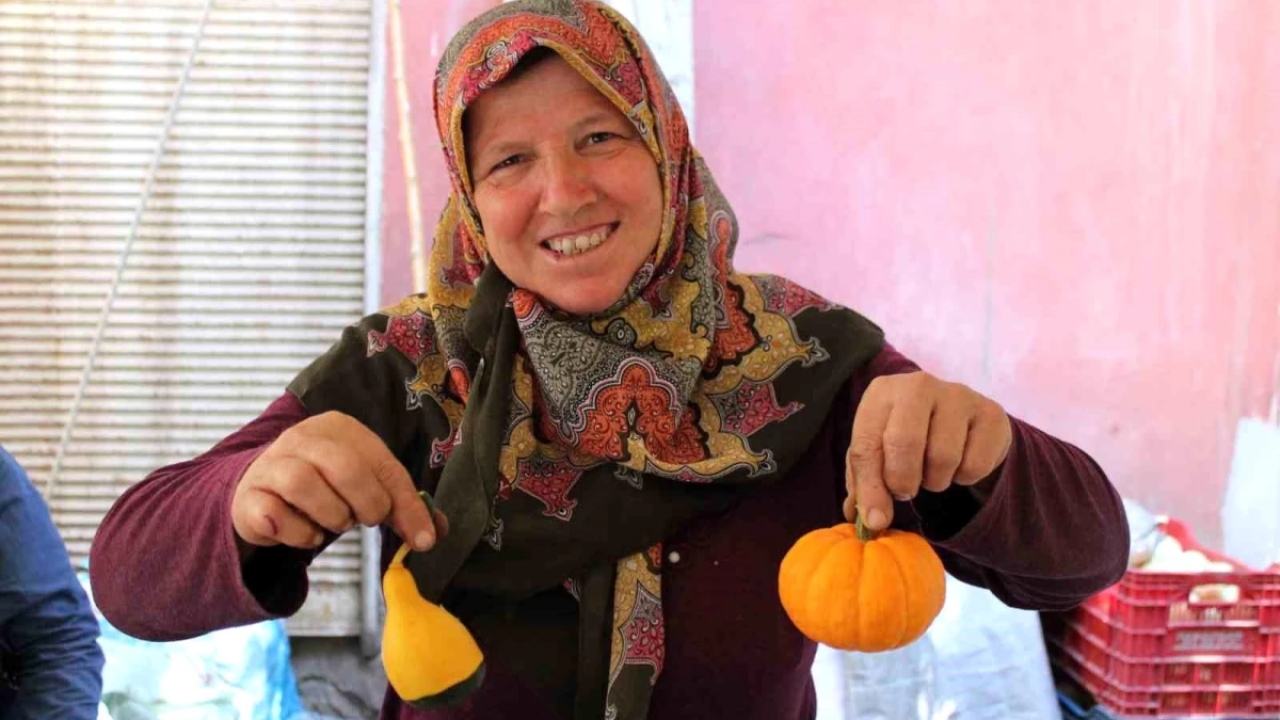 Aydın'da Süs Kabağı Yetiştiriciliği Köylülerin Geçim Kaynağı Oldu