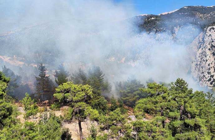 Kaş’ta orman yangını