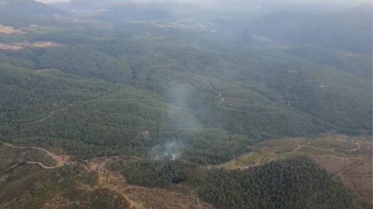 Manisa'da orman yangını çıktı
