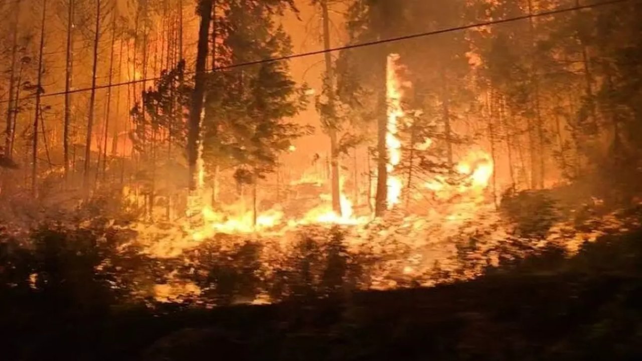 İspanya’da orman yangını: 3 bin kişi tahliye edildi