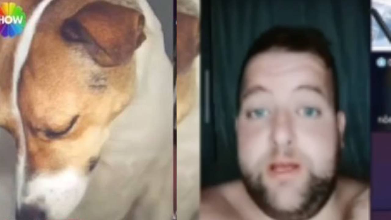 Canlı yayın açıp köpeğini tüfekle vuran kişi yakalandı