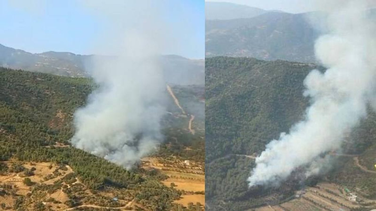 İzmir'de orman yangını çıktı