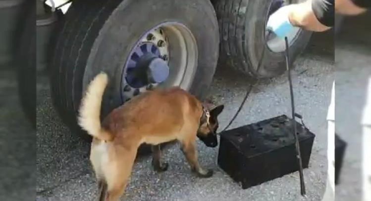 Uyuşturucuyu TIR aküsüne saklamışlar: Narkotik köpeği Pako yakaladı