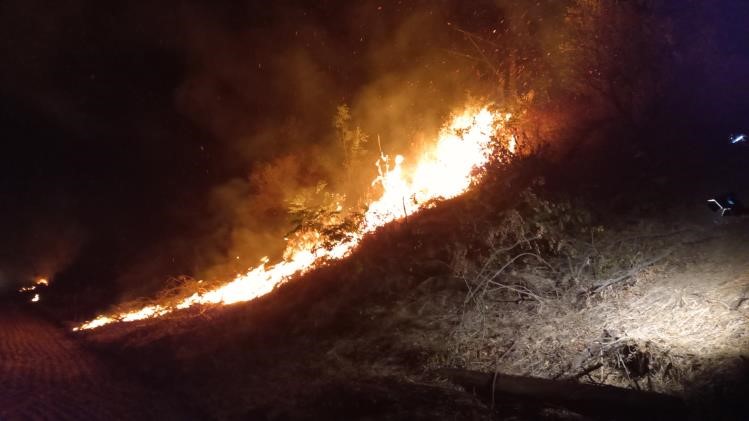 Yangın tren yoluna sıçradı, uluslararası lojistik tren seferi üç saat durdu