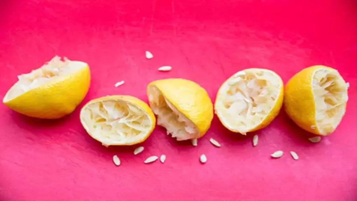 Kabuğu derken çekirdeği de faydalı çıktı! Limon çekirdeğini sakın ama sakın atmayın