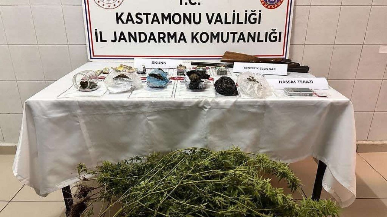 Kastamonu’da saksıya ekilmiş halde çok sayıda skunk bitkisi ele geçirildi: 1 gözaltı