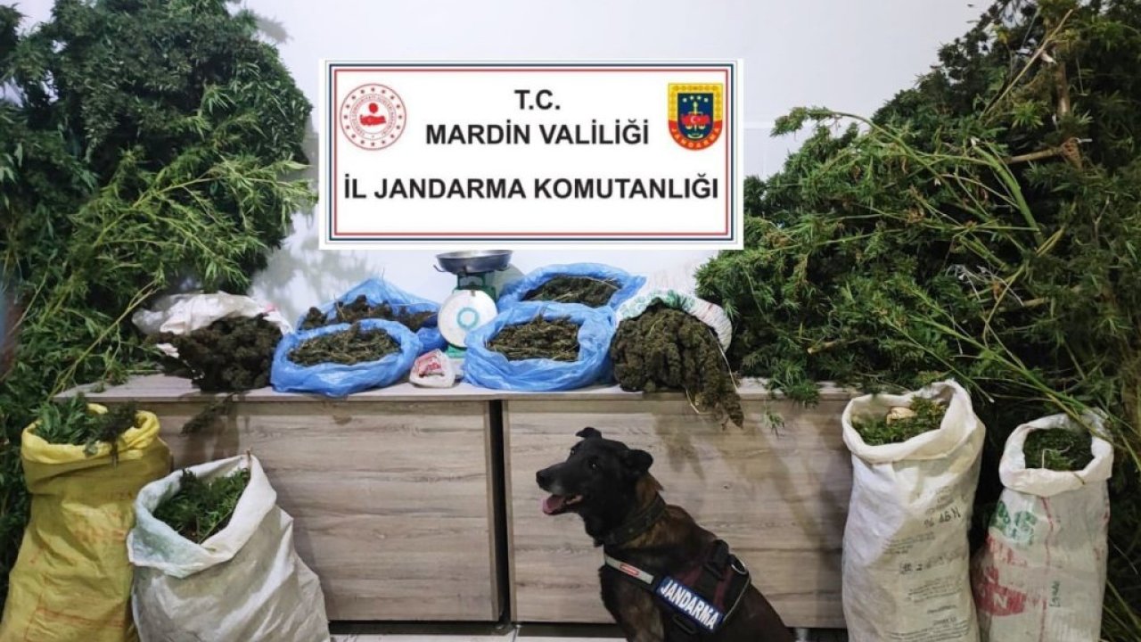 Mardin’de manav dükkanında uyuşturucu satan şüpheli tutuklandı