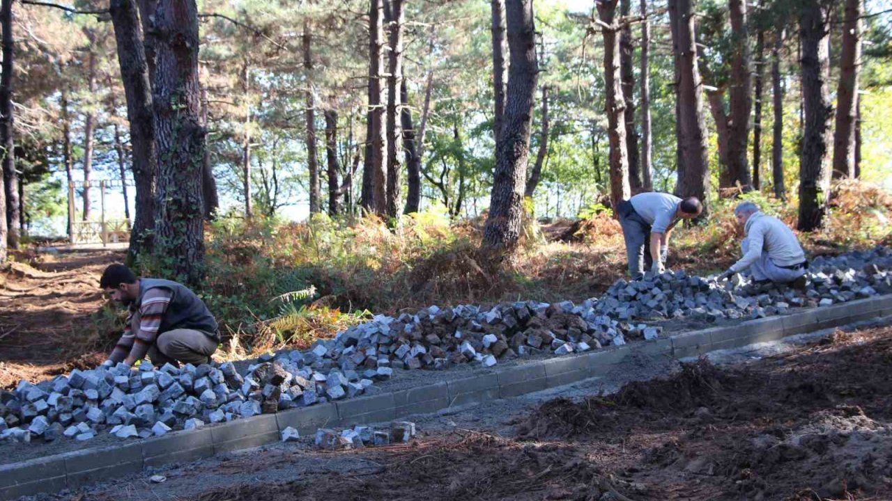 Çöp tesisi olacaktı, kent ormanı oluyor