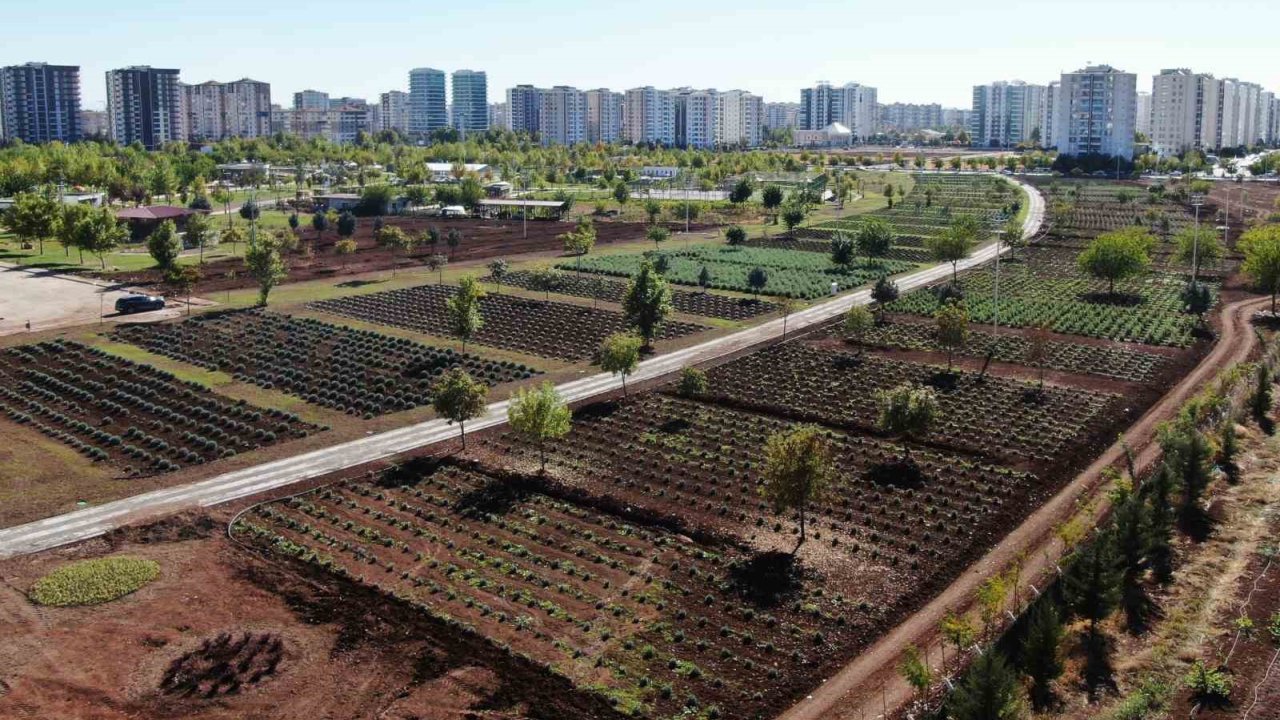 Diyarbakır’da Tıbbi Aromatik Bitki Bahçesi şehre güzel koku yayacak