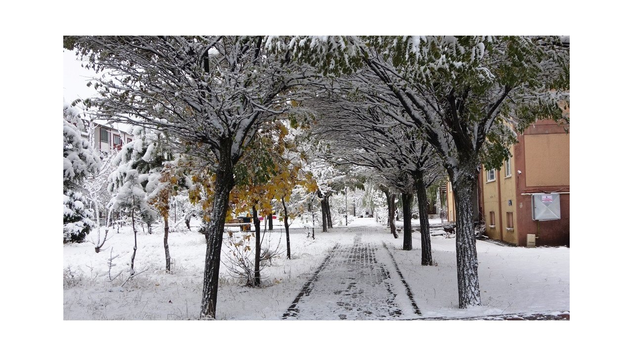 Bitlis’te kar yağışı
