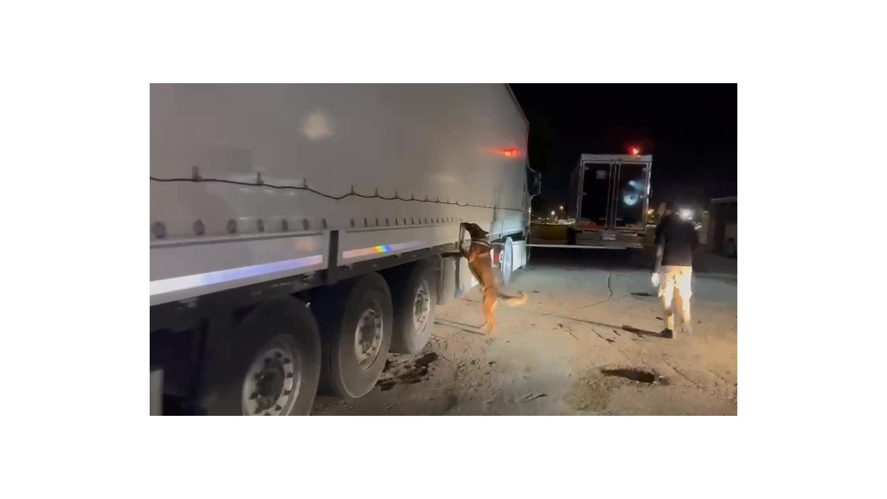 Tekstil eşyası yüklü tırda 64 kilogram skunk ele geçirildi