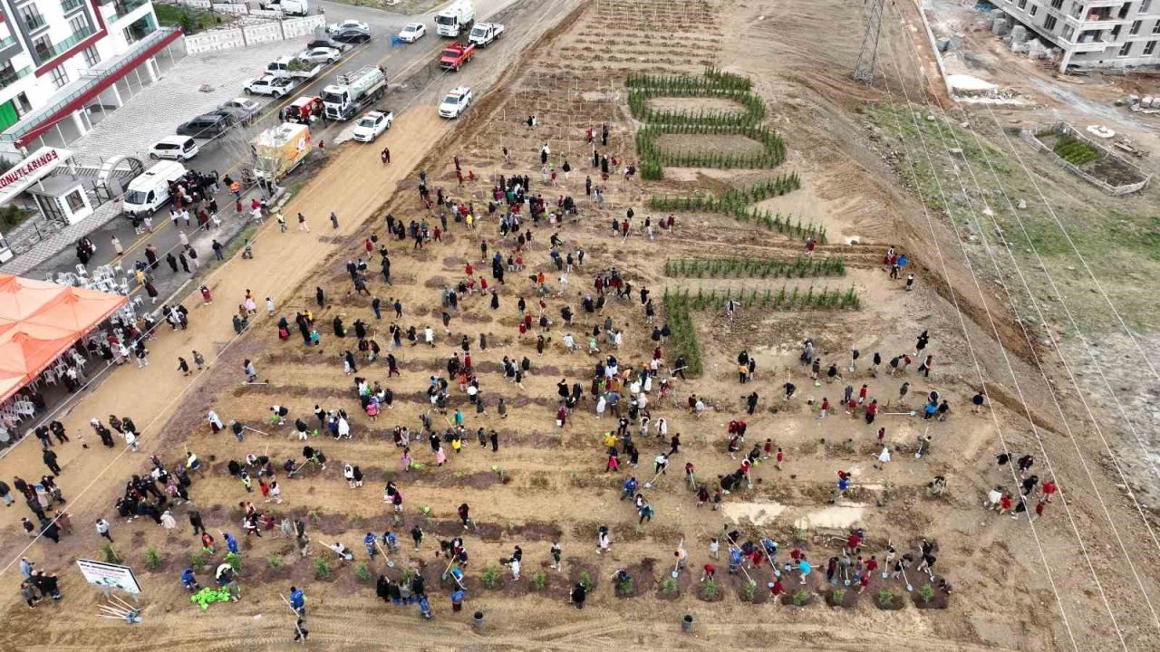 100. Yıl Cumhuriyet Hatıra Ormanı’na 2023 adet fidan dikildi