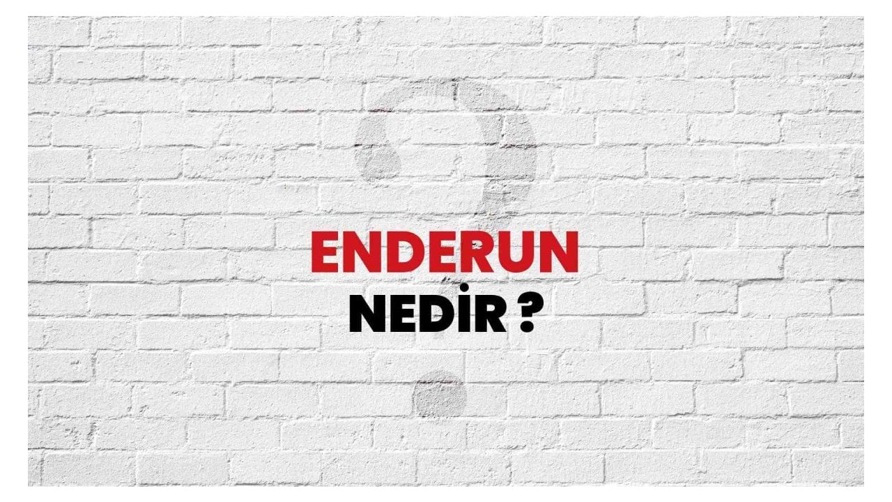 Enderun nedir?