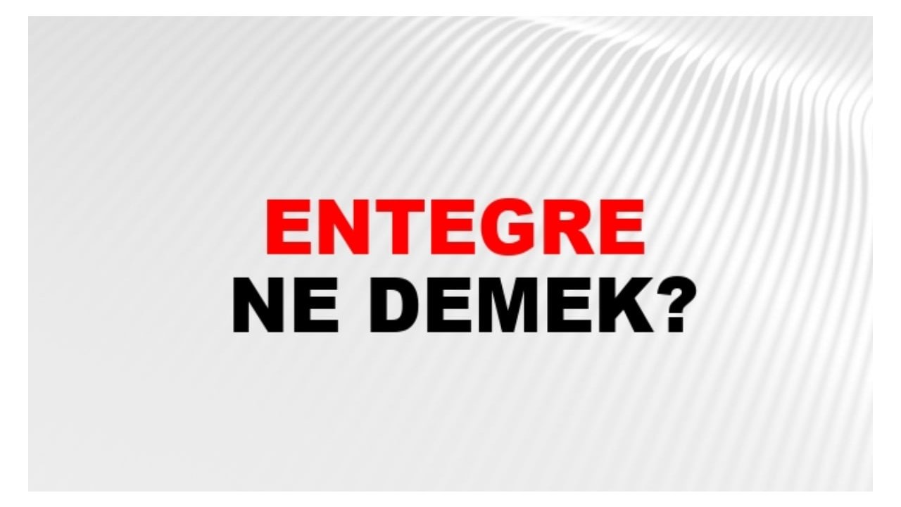 Entegre ne demek?
