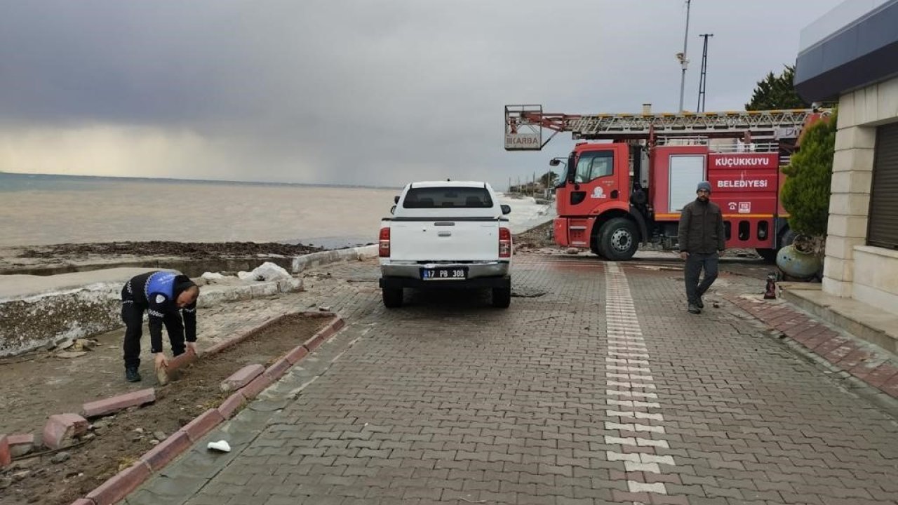 Küçükkuyu’da fırtına sonrası ölü yunus balığı karaya vurdu