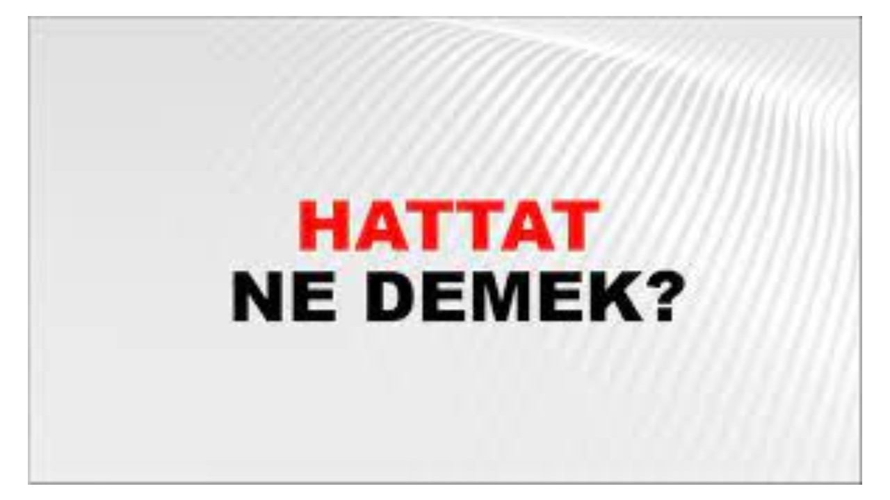 Hattat ne demek?