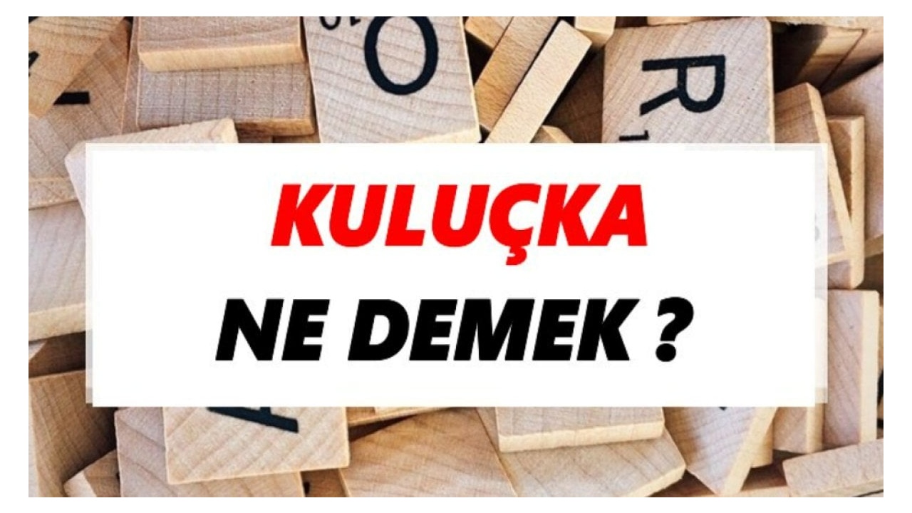 Kuluçka Nedir: Kuşlarda ve Sürüngenlerde Üreme Süreci