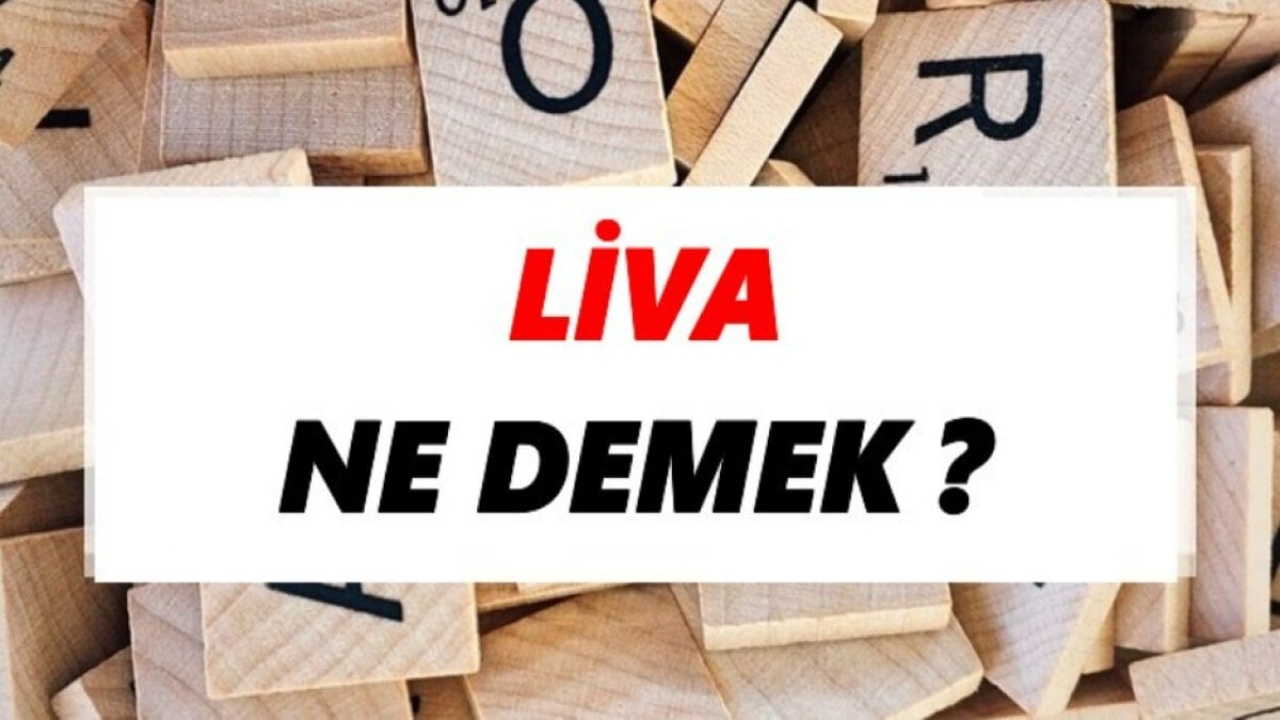 Liva Ne Demek: Osmanlı İmparatorluğu'ndan Günümüze