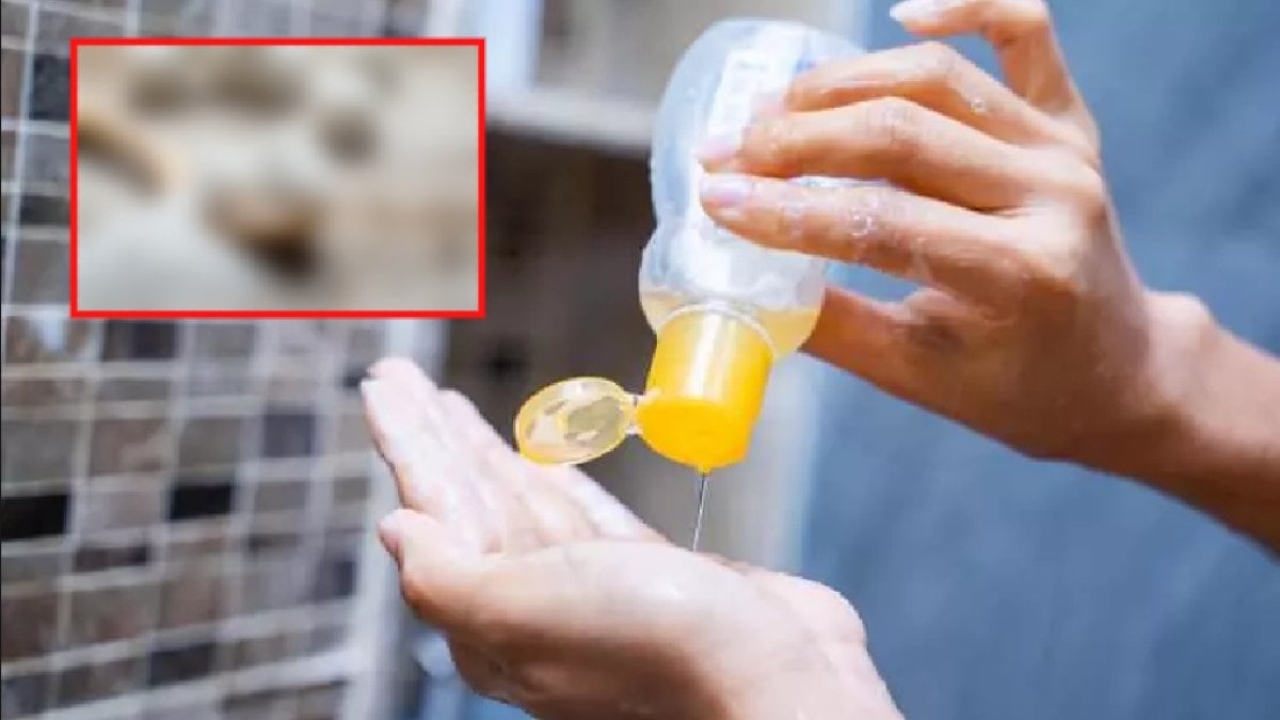 Tek bir kaşığıyla saçlarınız kuaförden çıkmış gibi olacak! Her evde bulunan o malzemeyi bir kaşık ekleyin ve b