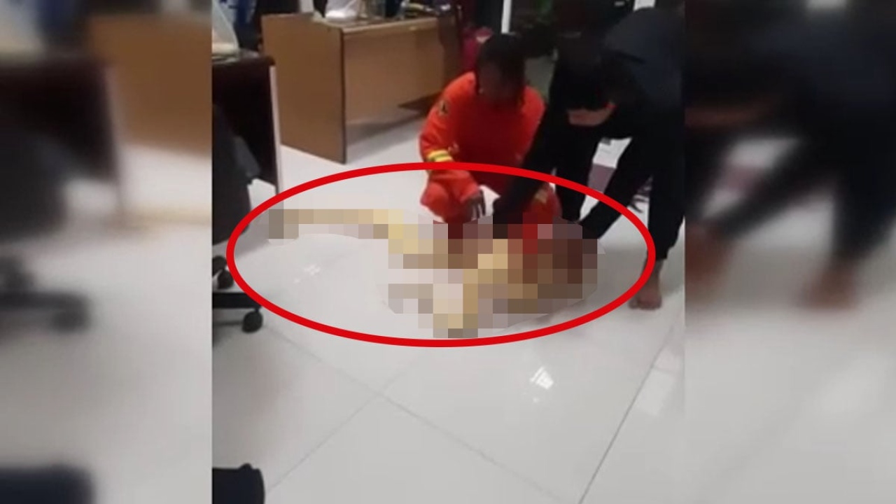 4 metrelik albino piton dehşeti! Ekipler harekete geçince ortaya çıktı: Koca yılanı evinde kedi gibi besliyorm