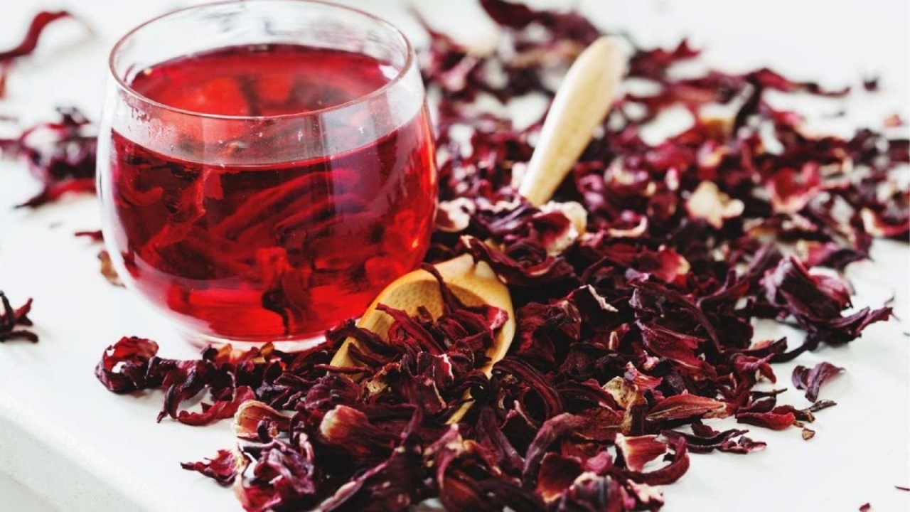 Hibiskus nedir?
