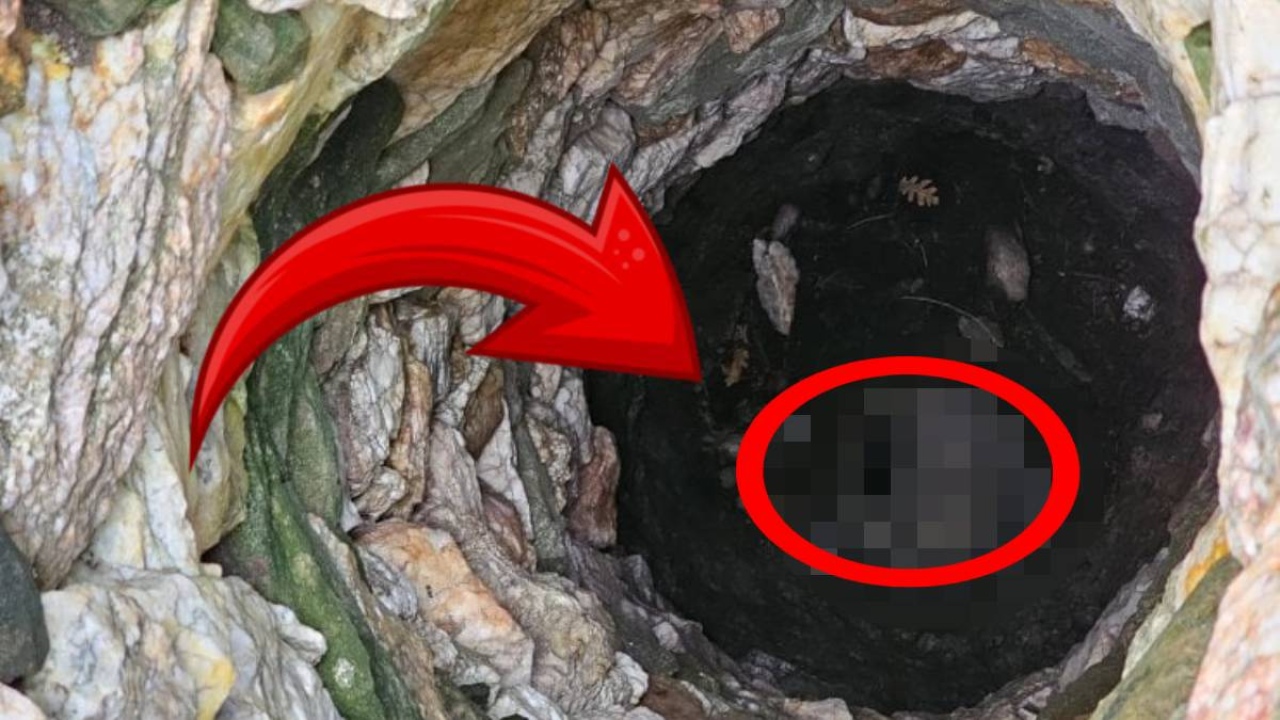 7 metrelik kuyuda bulunmuş oldu! Mantar toplayan köylüler sesi duyunca koştu: Ne zamandır orada kimse bilmiyor