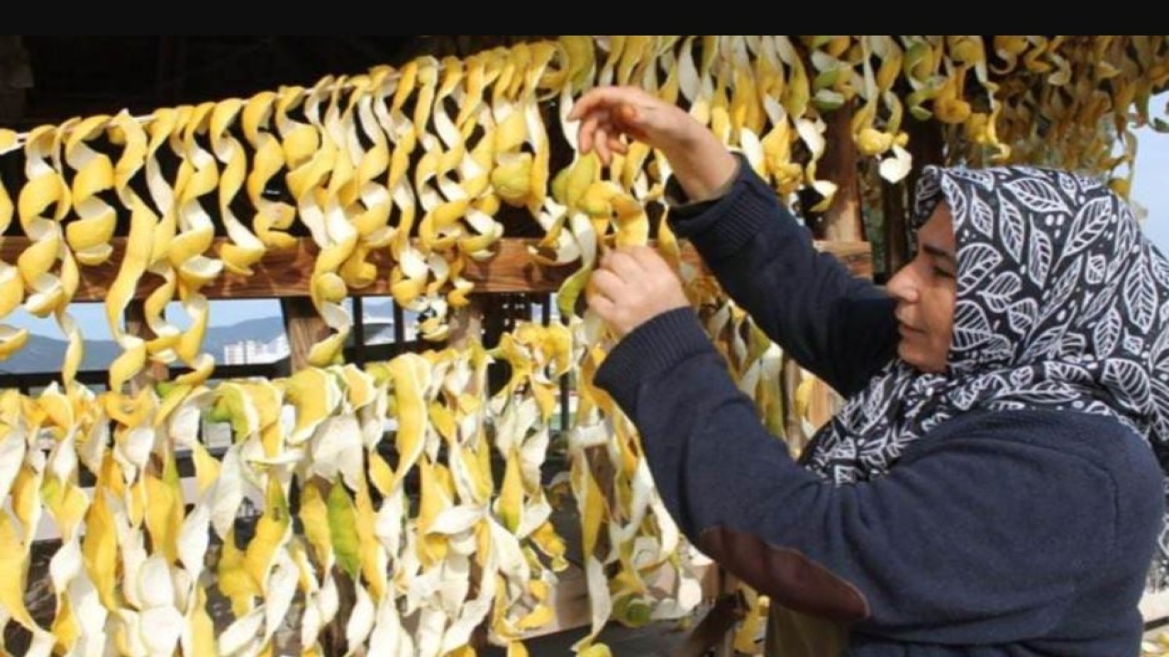 Çöpe atılacak limonları evinin önüne döktüp kuruttu! Şimdi limondan daha pahalıya satıyor: Üstelik pazar probl