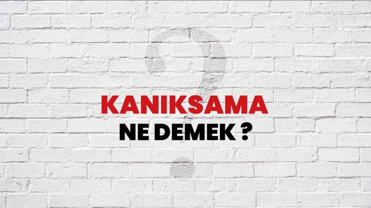Kanıksama Ne Demek?
