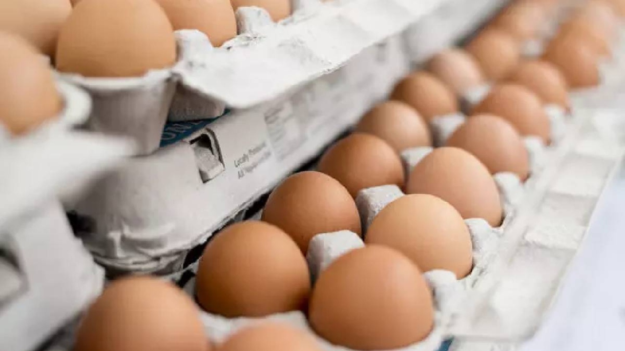 Yumurtayı alır almaz karton kolisinden çıkaranlar dikkat! Öyle bir zararı varmış ki, senelerce sağlığımıza zar