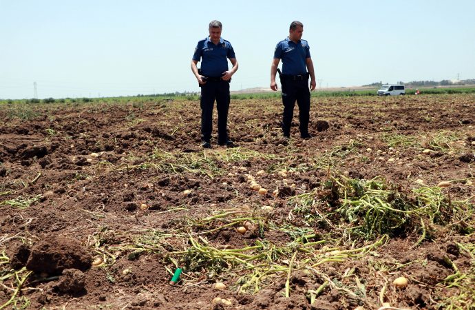 'Başak' kavgasında çıkan silahlı çatışmada 4 kişi yaralandı