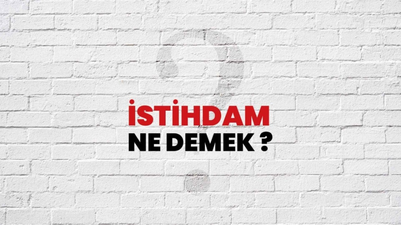 İstihdam Ne Demek: Türkiye'de İş ve Çalışma Hayatı